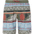 PROTEST Cinema Swimming Shorts