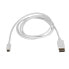 Фото #2 товара StarTech.com 6ft/1.8m USB C to DisplayPort 1.2 Cable 4K 60Hz - USB-C to DisplayPort Adapter Cable HBR2 - USB Type-C DP Alt Mode to DP Monitor Video Cable - Works w/ Thunderbolt 3 - White - 1.8 m - USB Type-C - DisplayPort - Male - Male - Straight