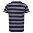 REGATTA Ryeden short sleeve T-shirt