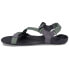 Фото #3 товара XERO SHOES Z-Trek II Sandals