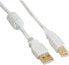 Фото #1 товара InLine USB 2.0 Cable Type A male / B male - gold plated - w/ferrite - white - 1m
