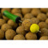 Фото #3 товара STICKY BAITS Manilla Tuff Ones 160g Pop Ups