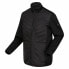 Men's Sports Jacket Regatta Clumber III Hybrid Black