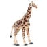 Фото #4 товара Фигурка Safari Ltd Giraffe Figure Wild Safari (Дикая Сафари)