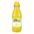 ფოტო #2 პროდუქტის IV SAN BERNARD Fruits Zenzero E Sambuco Shampoo 500ml