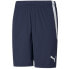 Фото #1 товара Puma team shortsLIGA M 704924 06