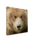 Фото #2 товара PH Burchett Bear Life I Canvas Art - 19.5" x 26"