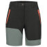 Фото #1 товара ICEPEAK Bastrop Shorts