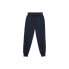 Trousers 4F W 4FSS23TTROF229 navy blue