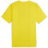 Фото #2 товара PUMA Borussia Dortmund 23/24 Prematch Short Sleeve T-Shirt
