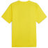 PUMA Borussia Dortmund 23/24 Prematch Short Sleeve T-Shirt