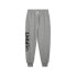 PUMA Posterize 2.0 sweat pants