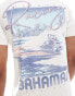 Hollister relaxed fit t-shirt wih scenic back print in cream