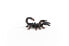 Фото #11 товара Фигурка Schleich Emperor Scorpion Wild Life (Дикая Природа)