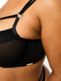 We Are We Wear Curve mesh and velvet non padded balconette bra in black