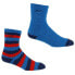 Фото #1 товара REGATTA Cosy socks 2 pairs