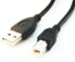 Фото #4 товара Кабель USB Gembird CCP-USB2-AMBM-6 - 1.82 м - USB A - USB B - Черный