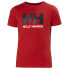 Фото #1 товара Футболка мужская Helly Hansen Логотип со шортами