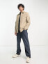 Dickies wilsonville cord shirt in beige