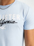 Футболка Hollister Tech Blue