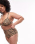 Topshop Curve leopard print high waist bikini bottoms in multi