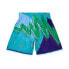 Mens Mitchell & Ness NBA HYPER HOOPS SWINGMAN SHORTS - CHARLOTTE HORNETS 1992