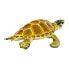 Фото #2 товара SAFARI LTD Loggerhead Turtle Figure