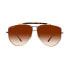 Ladies' Sunglasses SF241S-791-61