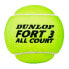 DUNLOP Fort All Court TS Ball 2 Units