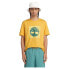Фото #1 товара TIMBERLAND Front Graphic short sleeve T-shirt