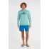 O´NEILL Vert 16´´ Swimming Shorts