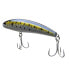 Shimano Bunker CURRENT SNIPER SPLASH WALK Walkingbait (COL18SWBN) Fishing