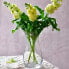 Фото #3 товара Аксессуары для цветов Krosno Glass Blumenvase 27 cm