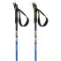 SALOMON Slab Xalp Poles