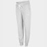 Фото #1 товара Брюки 4F W trousers H4L22 SPDD350