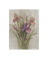 Фото #1 товара Albena Hristova Purple Iris Garden on Grey Canvas Art - 36.5" x 48"