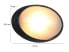 Фото #5 товара Außen Wandlampe Black Oval groß