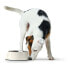 Кормушка для собак Hunter меламин Нержавеющая сталь Белый 160 ml (14,5 x 14,5 x 7 cm)