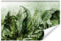 Фото #1 товара Fototapete exotische Pflanzen Blätter