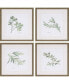 Фото #1 товара Paragon Herbs Framed Wall Art Set of 4, 17" x 17"