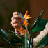 Фото #9 товара LEGO Creator Expert Bird of Paradise 10289 Adult Artificial Plants Flowers Gift Idea