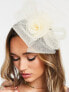 Фото #1 товара True Decadence floral fascinator in cream