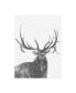 Фото #1 товара Naomi McCavitt Wildlife Snapshot Elk Canvas Art - 19.5" x 26"