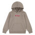 Фото #1 товара LEVI´S ® KIDS Boxtab Pullover hoodie