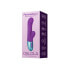 Dual Stimulation Vibe FemmeFunn Delola Purple