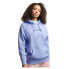 Фото #1 товара SUPERDRY Code Sl Applique Os hoodie