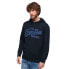 SUPERDRY Embroidered Vl hoodie