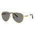 Фото #1 товара CHOPARD SCHG63 Polarized Sunglasses