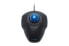 Kensington Orbit® Trackball with Scroll Ring - Ambidextrous - Optical - USB Type-A - Black