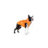 ფოტო #1 პროდუქტის COLLAR PET Airyvest Clasic coat